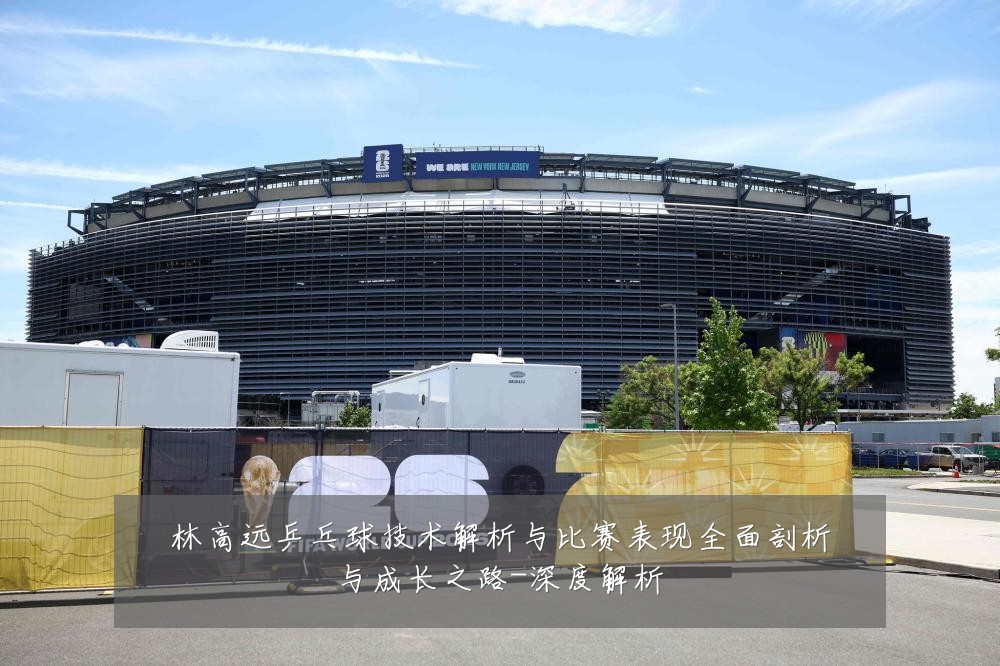 林高远乒乓球技术解析与比赛表现全面剖析与成长之路-深度解析